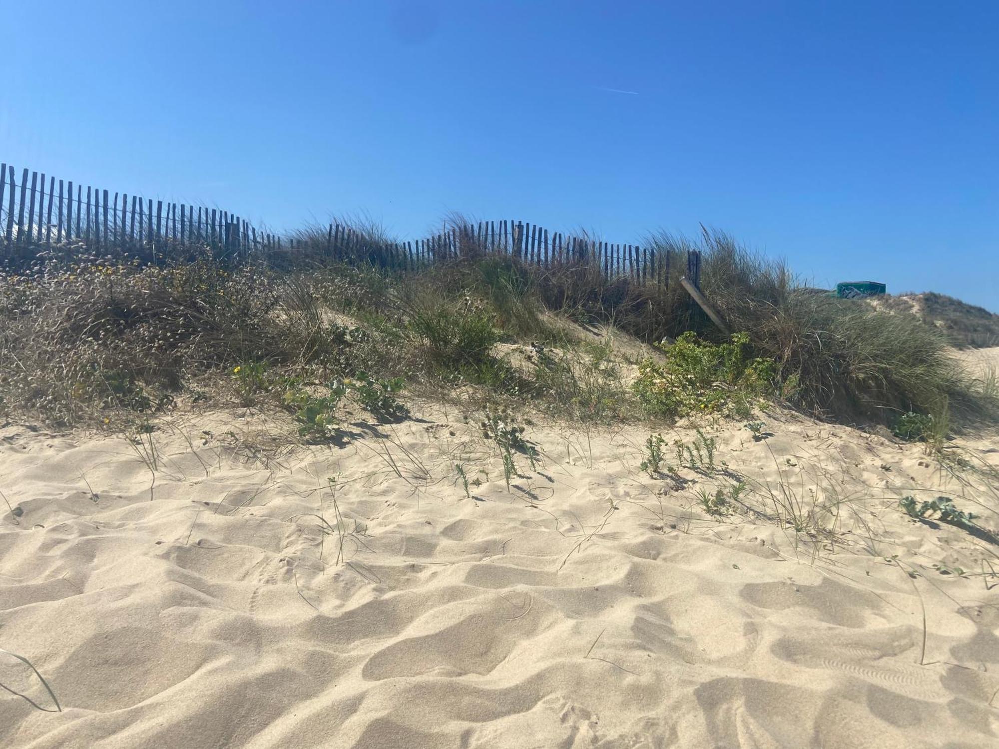 Vue Sur Dunes ! Διαμέρισμα Sangatte Εξωτερικό φωτογραφία